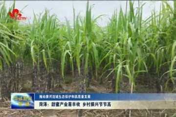 【推动黄河流域生态保护和高质量发展】菏泽：甜蜜产业喜丰收 乡村振兴节节高