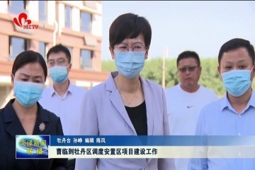 曹临到牡丹区调度安置区项目建设工作