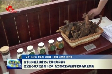 菏泽市支持重点镇建设与发展现场会要求：奋力推动重点镇科学发展高质量发展
