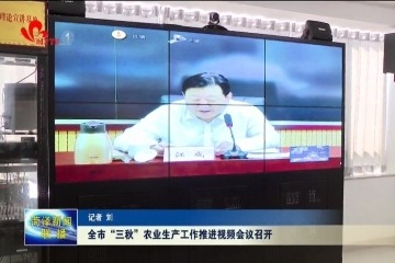 菏泽市“三秋”农业生产工作推进视频会议召开