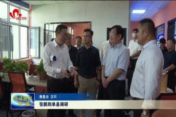 张鹏到单县调研新时代文明实践、电商等工作