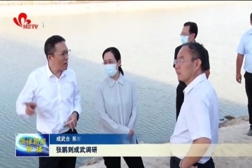 张鹏到成武调研：要加强河流岸线管理、保护好林业资源