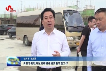 肖友华到牡丹区调研稳住经济基本盘工作
