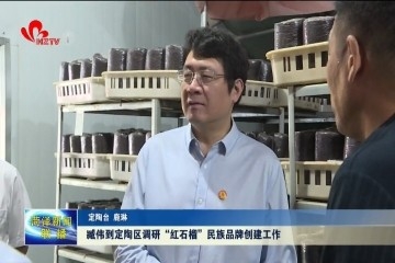臧伟一行到定陶区调研“红石榴”民族品牌创建工作