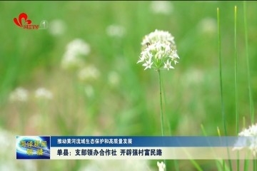 单县：支部领办合作社 开辟强村富民路