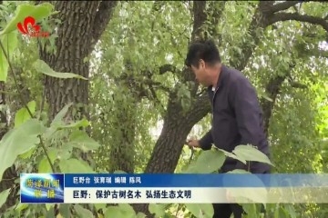 巨野：保护古树名木 弘扬生态文明