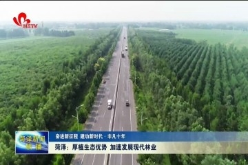 【奋进新征程 建功新时代】菏泽：厚植生态优势 加速发展现代林业