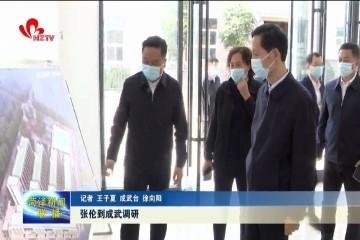 张伦到成武调研疫情防控、生态环保和项目建设等工作