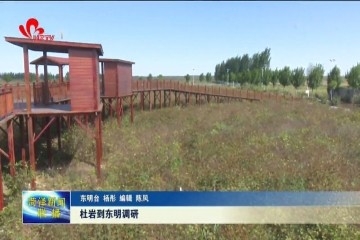 杜岩到东明调研