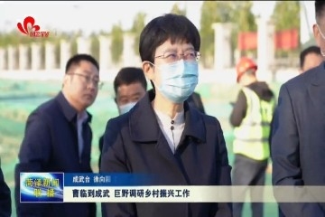 曹临到成武、巨野调研乡村振兴工作