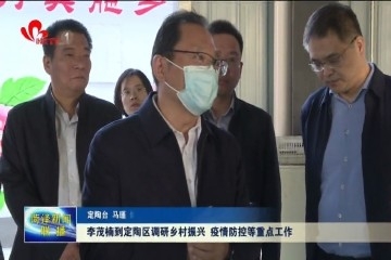 李茂楠到定陶区调研乡村振兴 疫情防控等重点工作