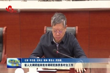 山东省人大调研组来菏调研民族侨务对台工作