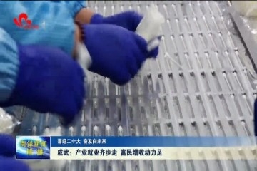 成武：产业就业齐步走 富民增收动力足