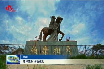 花样菏泽 水韵成武