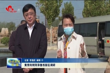 黄秀玲到菏泽鲁西新区调研
