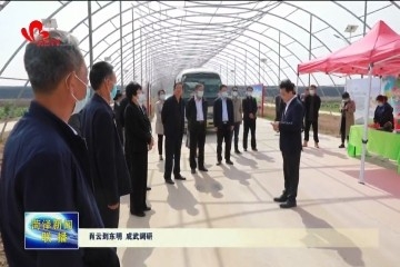 肖云到东明县、成武县调研