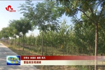 曹临到东明调研
