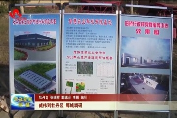臧伟到牡丹区 鄄城调研
