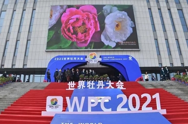 世界牡丹大会简介