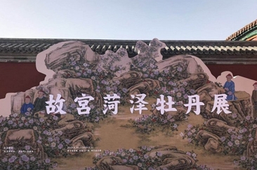 故宫菏泽牡丹主题展