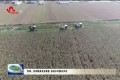 【深入学习贯彻党的二十大精神】 菏泽：夯实粮食安全根基 加快乡村振兴步伐