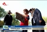 【创城进行时】菏泽鲁西新区穆李村：养蜂酿出甜蜜新生活