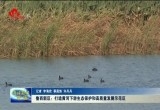 菏泽鲁西新区：打造黄河下游生态保护和高质量发展示范区