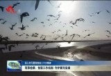 菏泽检察：创新工作机制 守护黄河安澜