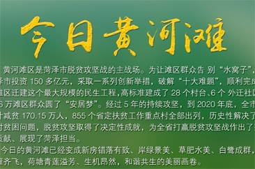 黄河安澜 | 超清海报——今日黄河滩