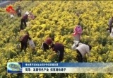 【推动黄河流域生态保护和高质量发展】菏泽：发展特色产业 拓宽增收路子
