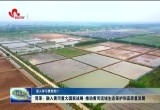菏泽：践行黄河战略 推动黄河流域生态保护和高质量发展