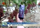 菏泽：发展特色产业 助力乡村振兴