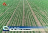 定陶：打好田管组合拳 确保小麦安全越冬