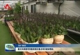 聂元科调度菏泽鲁西新区重点项目建设情况