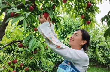  菏泽鲁西新区佃户屯——争做乡村振兴“领头雁” 