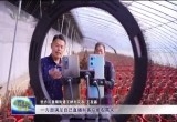 牡丹花农王在昌夫妇的“致富经”