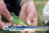 郓城：开启循环农业新模式