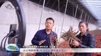 牡丹花农王在昌夫妇的“致富经”