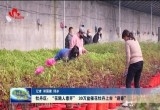 牡丹区：“花随人意开” 30万盆催花牡丹上市“迎春”