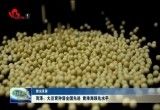 【数说发展】菏泽：大豆育种居全国先进黄淮海领先水平