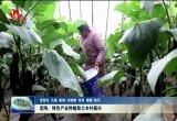定陶：特色产业种植助力乡村振兴