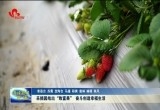 采摘园结出“致富果” 奋斗创造幸福生活