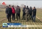 菏泽：人勤不负好春光 小麦春管正当时