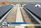 首单肉羊养殖保险落地单县