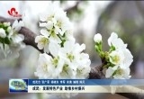 成武：发展特色产业 助推乡村振兴