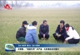 王银香：“筑巢引凤”兴产业 扎实推动乡村振兴