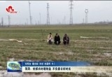 菏泽：抢抓农时增效益 不负春日好时光