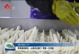 菏泽鲁西新区：山药走出国门 带富一方百姓