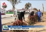 东明：厚植村台靓底色 扮靓滩区新容颜