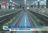 菏泽首个兔业5G智慧育种车间正式启动